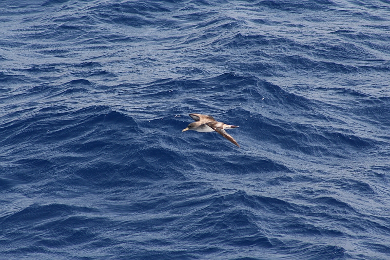 Rodos 2007 899